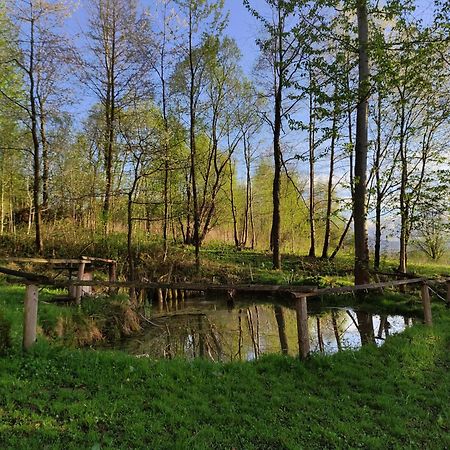 Agroturystyka Zielona Dolinka Stryszow Exterior foto
